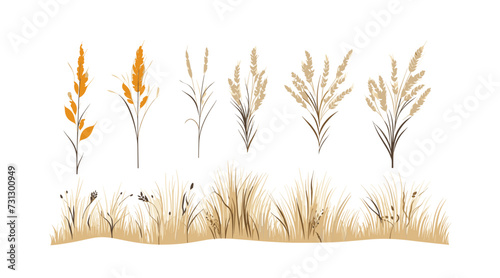 savanna dry grass set vector flat minimalistic isolated illustration
