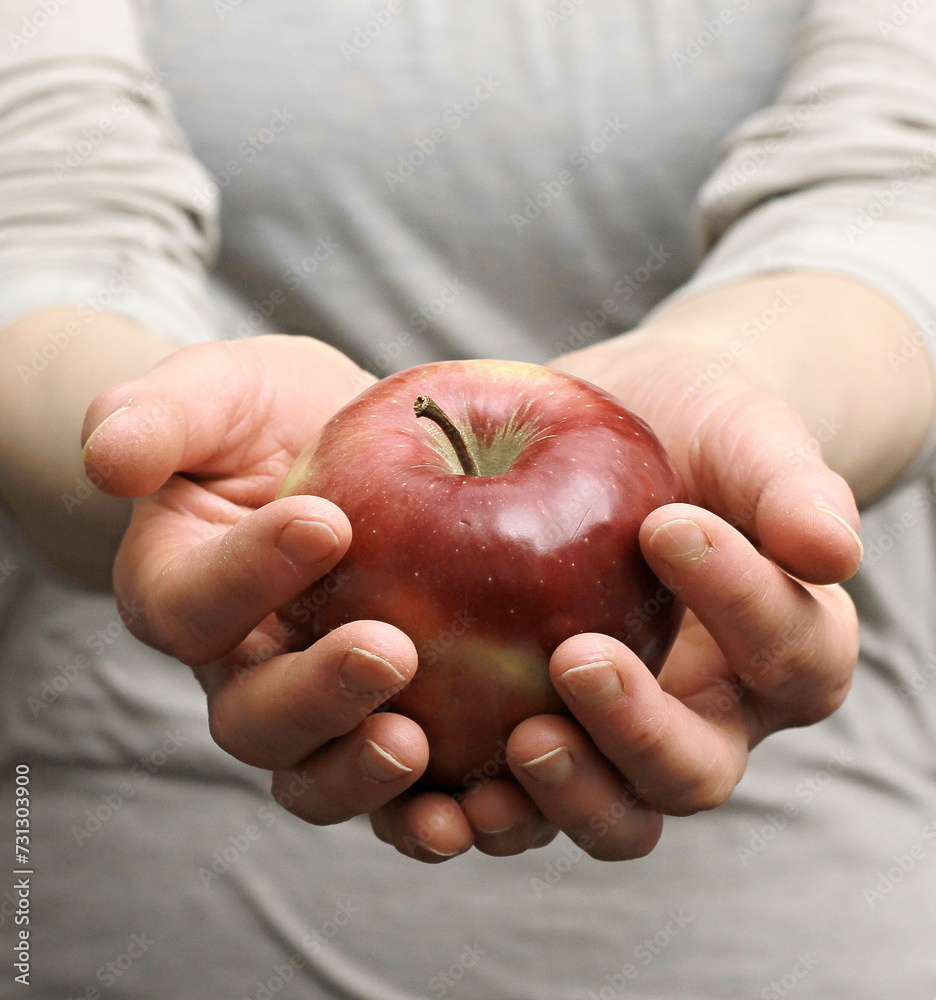 hand with red apple start dieting with an apple with people stock image stock photo hand with red apple start dieting with an apple with people stock image stock photo