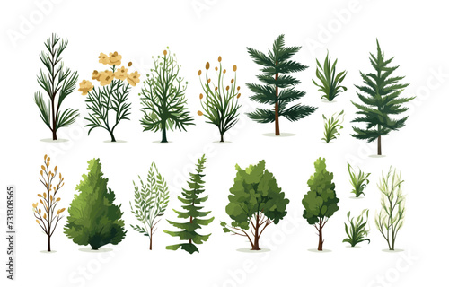 forest vegetation set isolated vector style with transparent background illustration