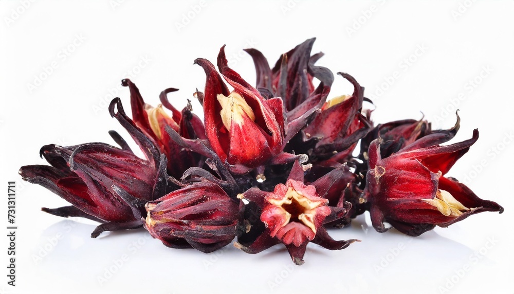 dried hibiscus sabdariffa or roselle fruits on white - obrazy, fototapety, plakaty 