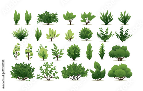 bush set vector flat minimalistic isolated illustration photo