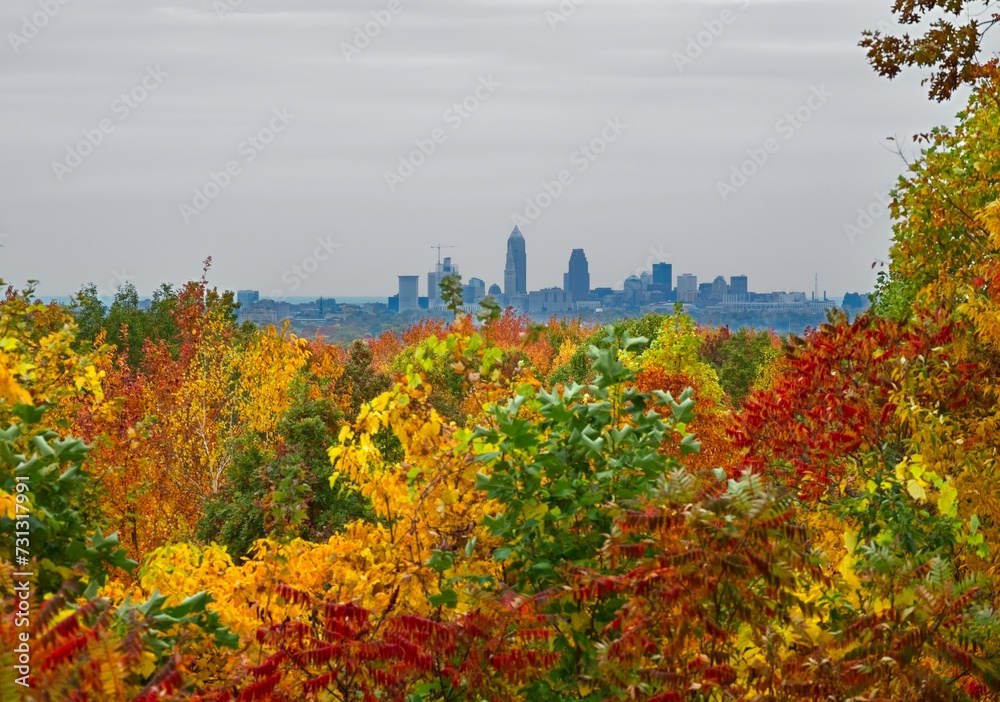 The Cleveland Ohio skyline seen from a distant high point amid autumn foliage, with focus on the city
