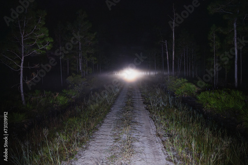 orb-like headlights of a truck on a dirt road in florida before dawn photo