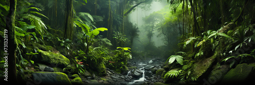 Rainforest Beauty. River Flow in the Green Wilderness