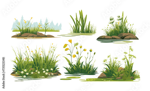 marsh vegetation set isolated vector style with transparent background illustration