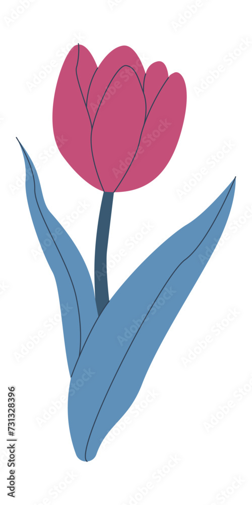 Adorable tulip spring flower , summer Background. Botanical illustration flat style. Isolated on white for greeting cards, Easter,thanksgiving. Kids design, for fabric, wrapping, textile, wallpaper