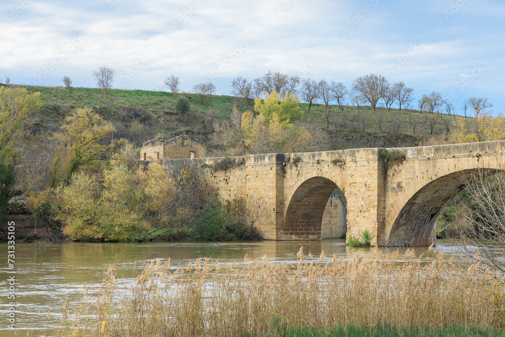 Fototapeta premium The swollen river Ebro in the Rioja region