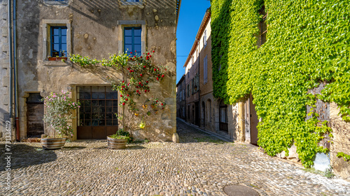 A climbing rose in a Southern France village photo