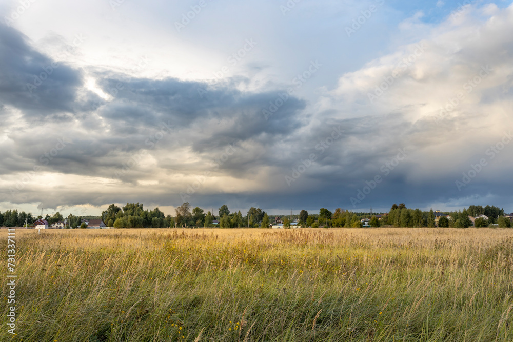 Wide shot of a field with meadow grasses, with thunderclouds overhead on a summer evening Wide shot of a field with meadow grasses, with thunderclouds overhead on a summer evening