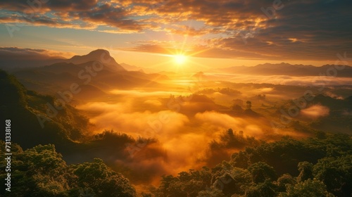 As the morning fog fades into the sunlight, a majestic landscape of trees and mountains is illuminated by the afterglow of the sunrise, creating a peaceful and serene outdoor scene