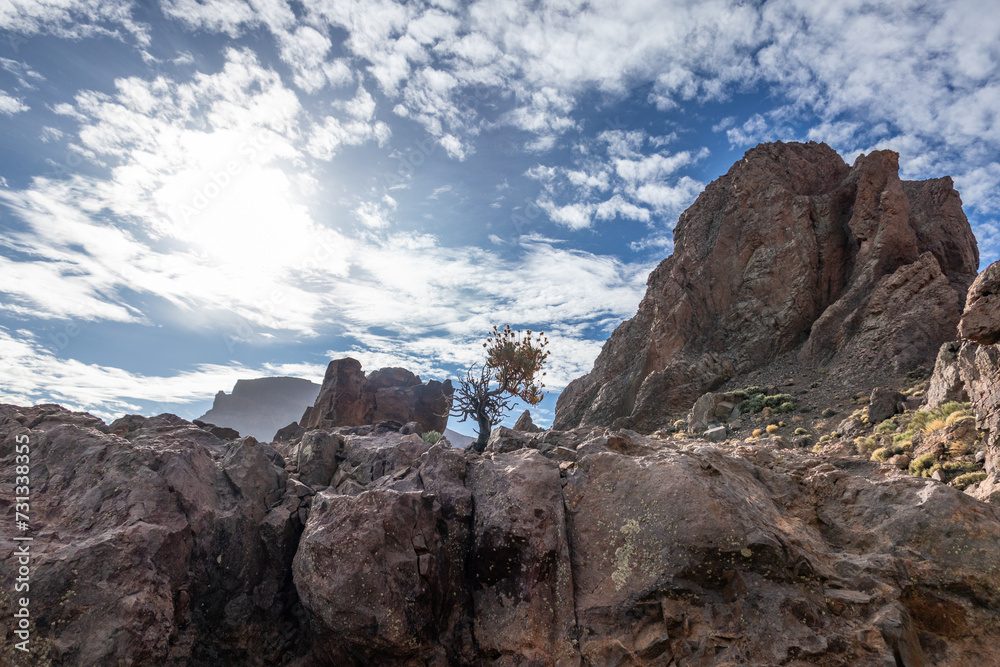Fototapeta premium Landscape of Teide National Park , Tenerife