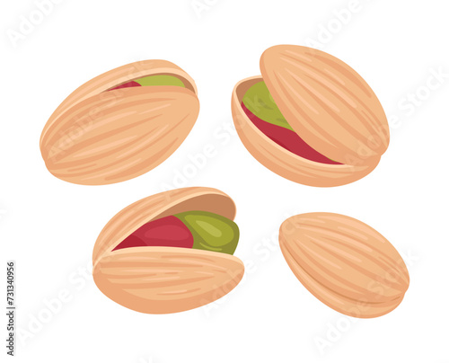 Delicious pistachio nuts. Pistachio handful in shell, organic crunchy snack flat vector illustration. Bunch of pistachio on white background