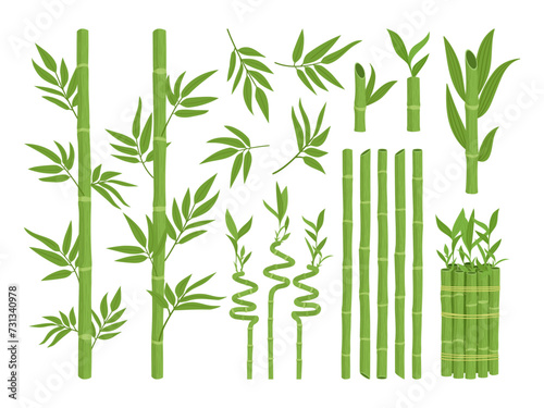 Fototapeta Naklejka Na Ścianę i Meble -  Asian bamboo set. Cartoon green bamboo sprouts, bamboo forest plants with leaves and branches flat vector illustration collection. Chinese or Japanese flora