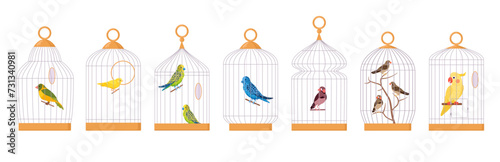 Decorative birds in cages. Domestic exotic bird cages, parrot, finch, budgie, canary and cute cockatoo flat vector illustration set. Cartoon birds sitting in cages