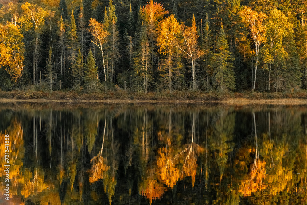 Autumn forest reflected in water. Colorful autumn morning in the mountains.
