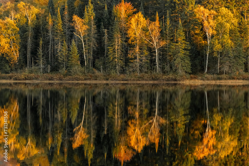 Autumn forest reflected in water. Colorful autumn morning in the mountains.