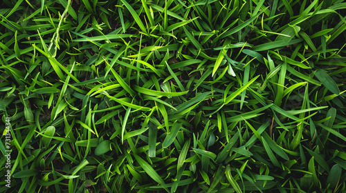 A stunning, high-quality texture of lush green grass that is rich in detail and seamlessly repeats to create a vibrant and natural ground cover. Perfect for adding a touch of freshness to an