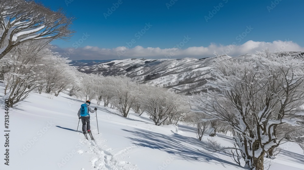 Winter landscape with snow, trees and a cross country skier on a forest trail viewed from behind
