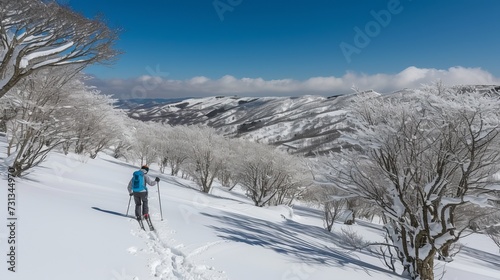 Winter landscape with snow, trees and a cross country skier on a forest trail viewed from behind