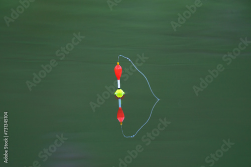 A fish hook in a green lake