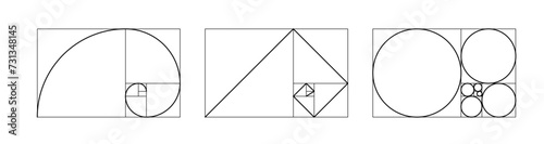 Golden ratio template. Harmony proportions outline template composition balance. Grid fracted on squares, circles and with logarithmic spiral PNG