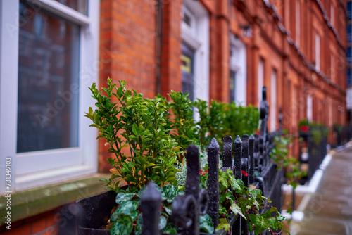 ringhiera con fiori in una classica strada con appartamenti londinesi