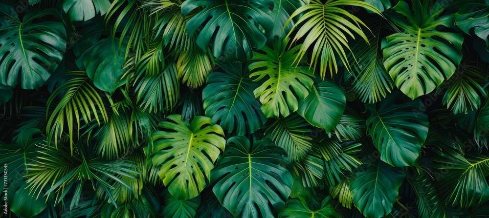 Eco friendly urban living green wall with plants inside building for sustainable architecture. Eco friendly urban living green wall with plants inside building for sustainable architecture.