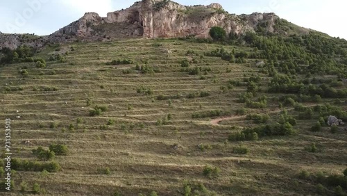 Utrillas, barranco de buitres. Utrillas, vulture ravine.