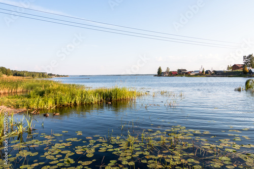 shore of Lake Onega in summer. Karelia. Russia. Beautiful landscape