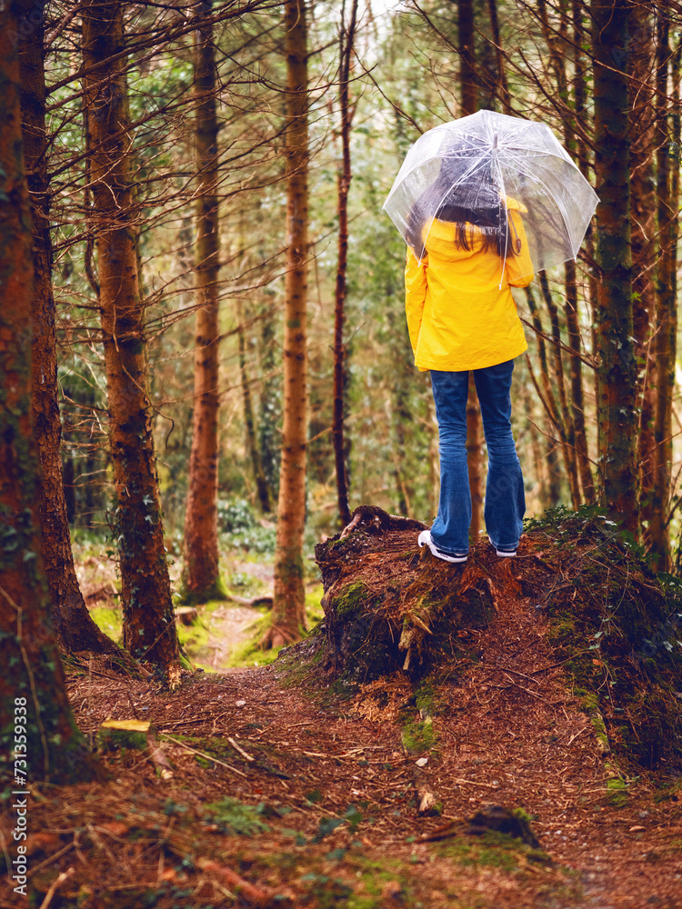 Teenager girl standing on high ground looking at nature scene of a forest park. Model wearing yellow tourist jacket, blue jeans and translucent umbrella. Selective focus. Explore nature concept Teenager girl standing on high ground looking at nature scene of a forest park. Model wearing yellow tourist jacket, blue jeans and translucent umbrella. Selective focus. Explore nature concept