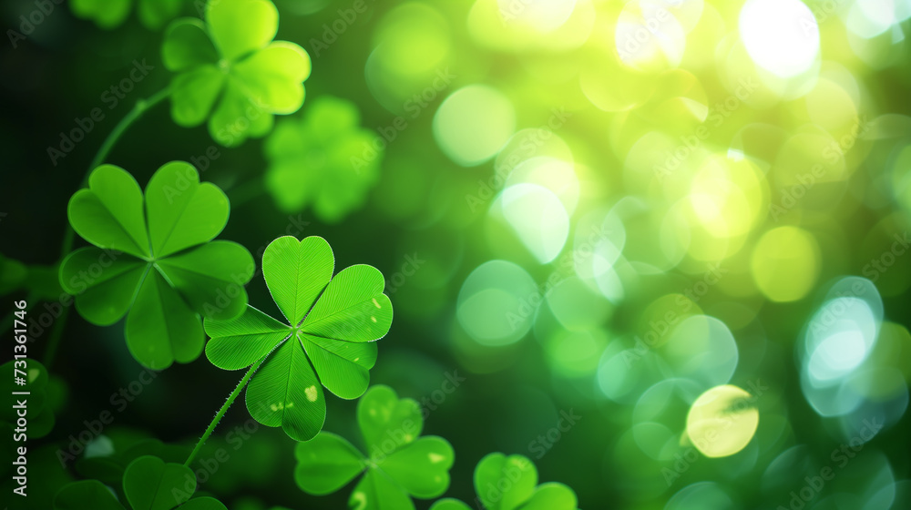 Backdrop for St. Patrick's Day. Clover wallpaper in soft backlight with blur and bokeh. Horizontal format. Postcard. Backdrop for St. Patrick's Day. Clover wallpaper in soft backlight with blur and bokeh. Horizontal format. Postcard.