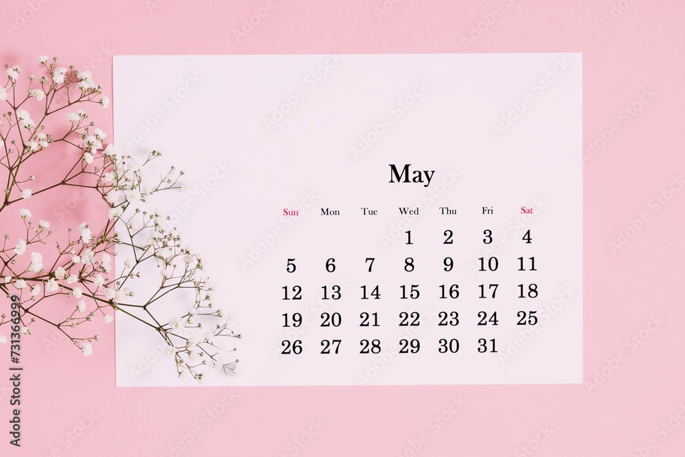 Desk calendar for May 2024 and flowers, gypsophila branch on a pink table. Flat lay, top view - obrazy, fototapety, plakaty 