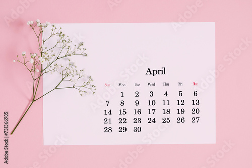 Desk calendar for April 2024 and flowers, gypsophila branch on a pink table. Flat lay, top view