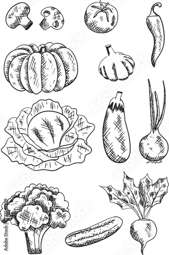 vegetables black ink grapgic vector collection. Hand drawn illustration for design