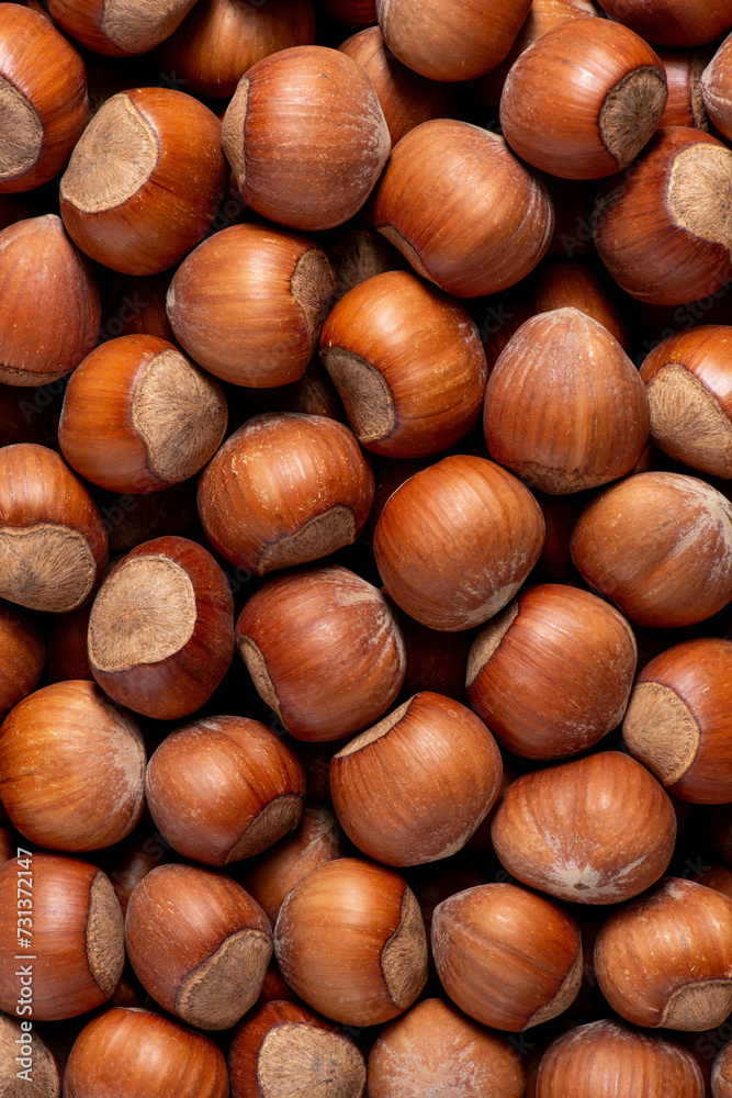 Group of hazelnuts top view