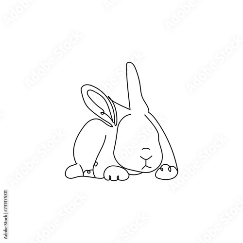 Cute drawn bunny on white b...