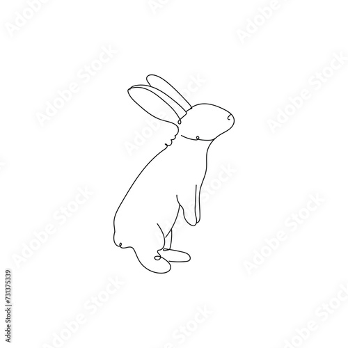 Cute drawn bunny on white b...