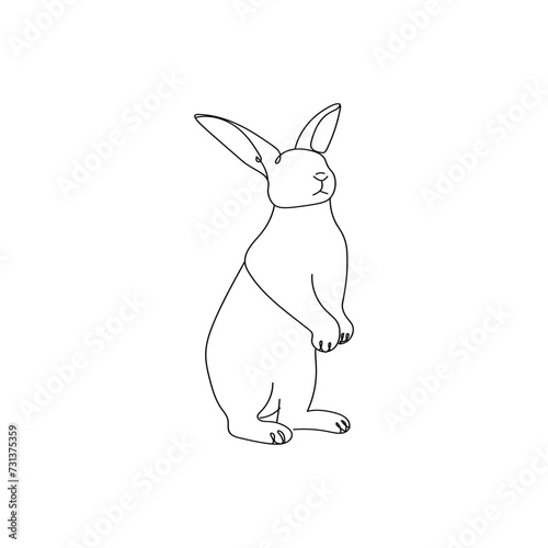 Cute drawn bunny on white b...