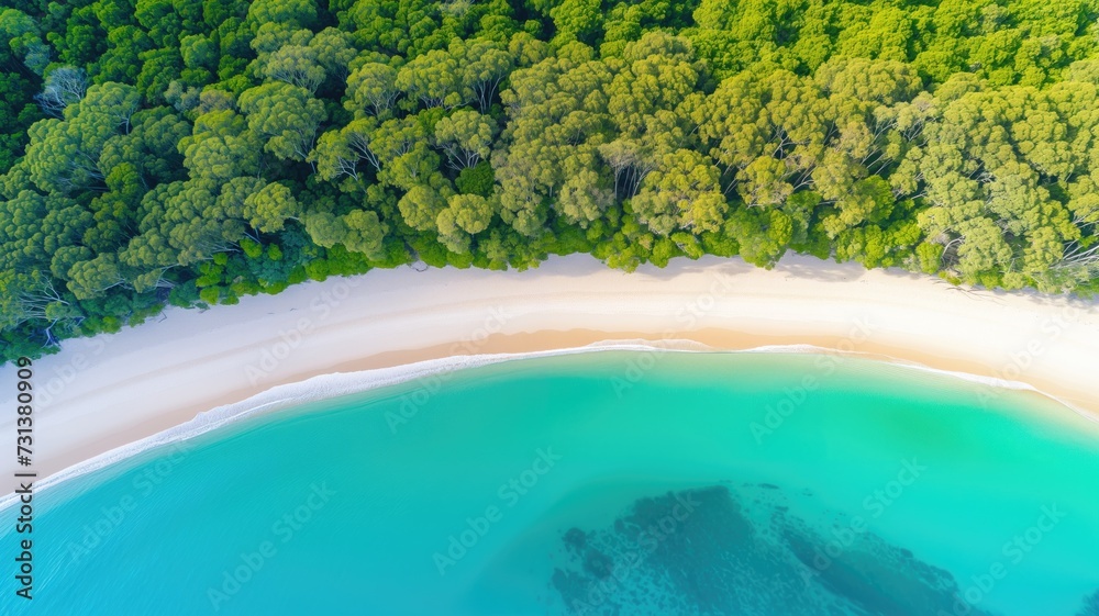 Top view of a stunning beach with clear waters bordered by a dense forest