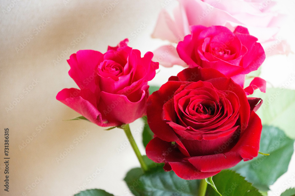 Fototapeta premium 薔薇の花束