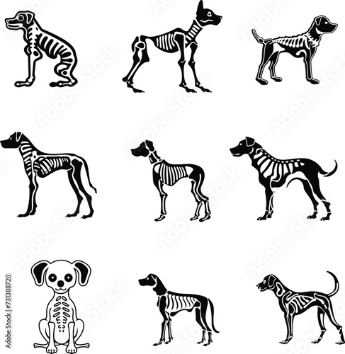dog skeleton silhouette set vector illustration
