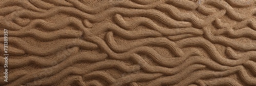Tan paterned carpet texture from above