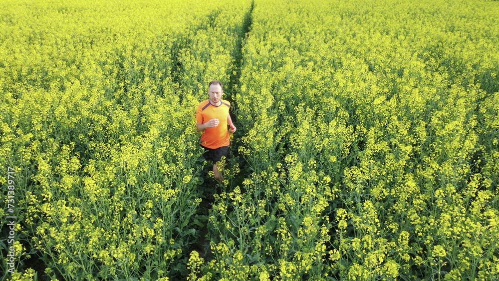 Adult male runner jogging in yellow growing rape field during sunlight. Aerial Adult male runner jogging in yellow growing rape field during sunlight. Aerial