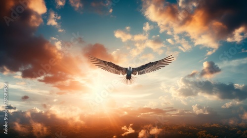 The grace of a bird in flight against the background of the evening sky.