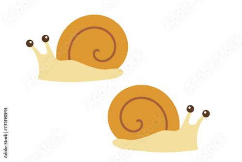 Snail Vector Illustration