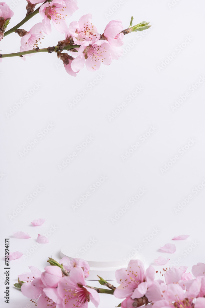 Empty white podium or pedestal for cosmetics product decorated with cherry blossom twigs. Spring cosmetic template.