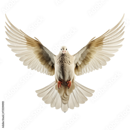 Dove in flight with open wings, on transparent background.
