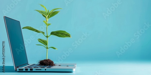 Laptop with plant seedling on keyboard on blue background photo