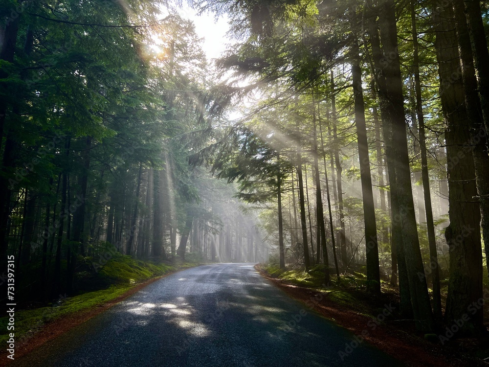 Fototapeta premium Mountain Rd., #2