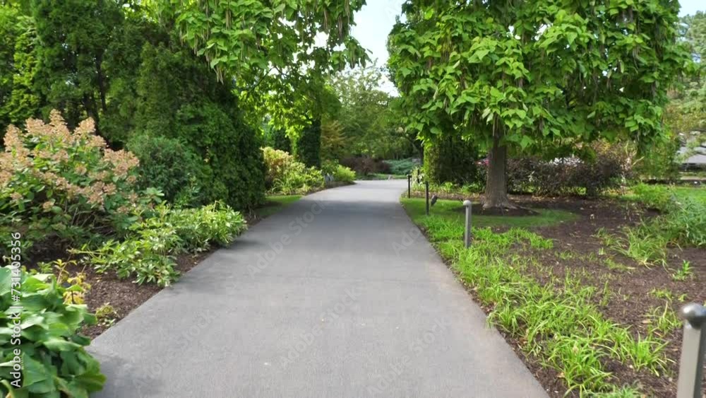 Path in the Park of Chicago Botanical Garden, Glencoe IL USA, Green Landscape and Plants Path in the Park of Chicago Botanical Garden, Glencoe IL USA, Green Landscape and Plants